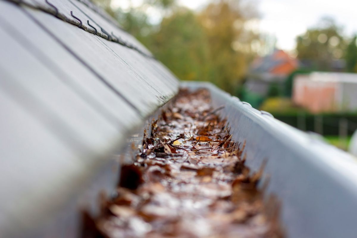 A.J.’s Seamless Gutters roofline gutter cleaning